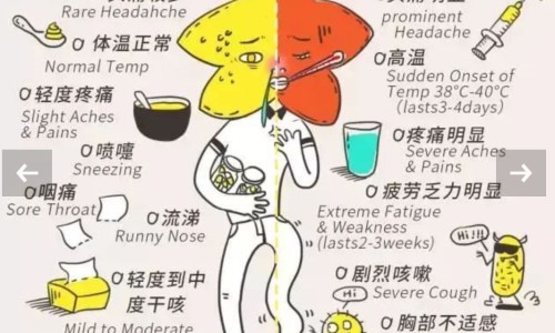 鹿胎胶囊是正规药品吗-鹿胎胶囊是正规药品吗-力胜牌鹿胎胶囊多少钱一合,中国力胜牌鹿胎胶囊多少钱网站